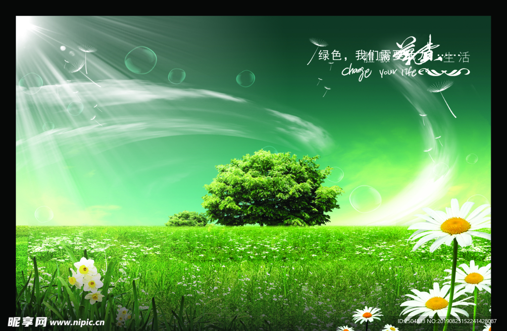靓丽风景