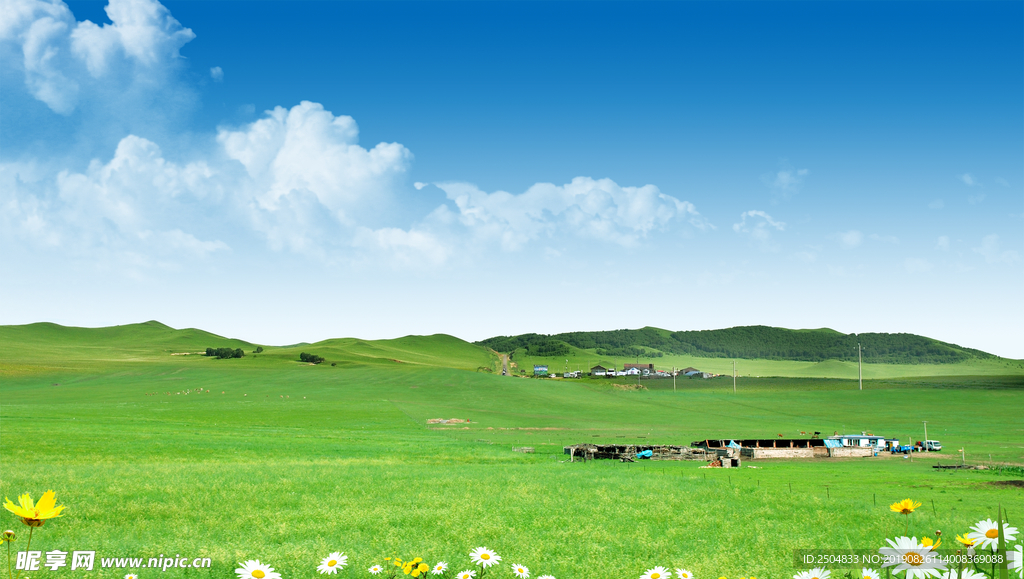 靓丽风景