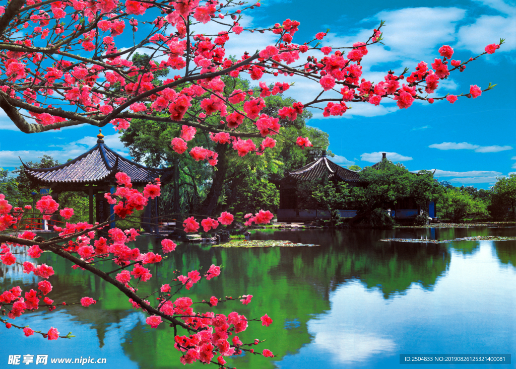 靓丽风景