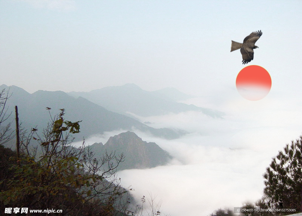 靓丽风景