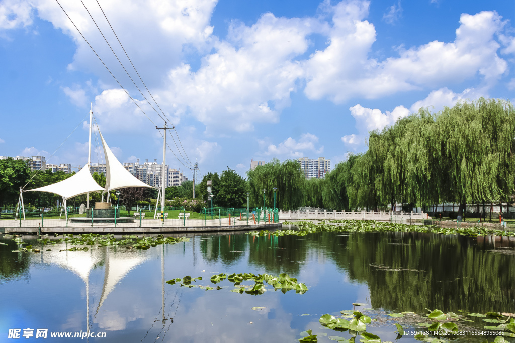 湖 湖水湖畔 公园 湿地 风景