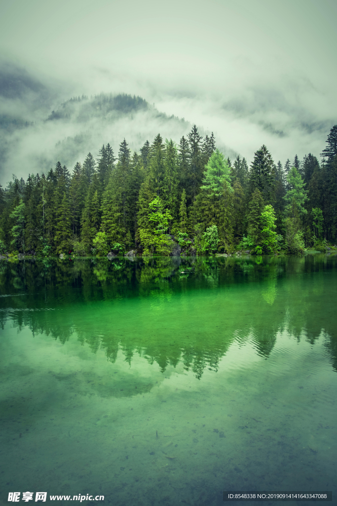 绿色湖泊