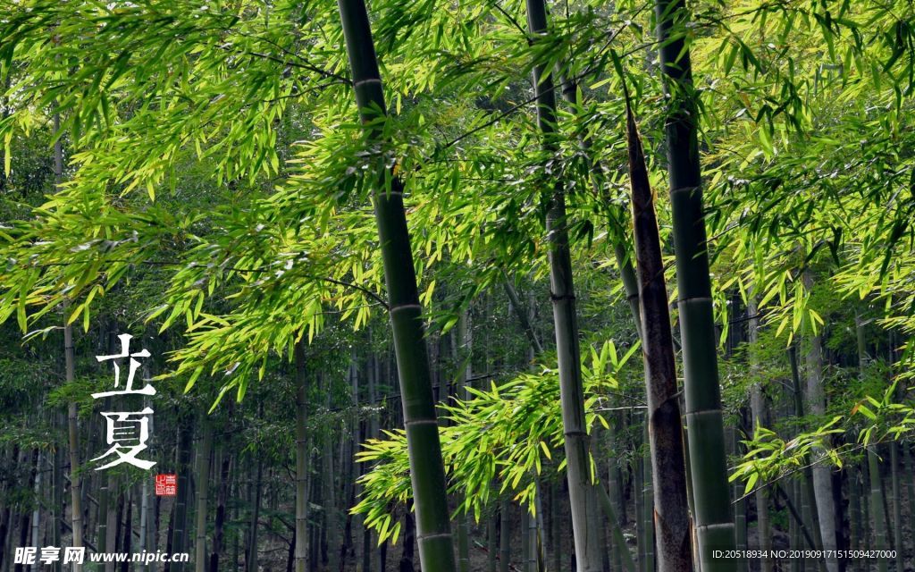 二十四节气 24节气图 24节