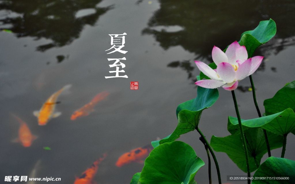 二十四节气 24节气图 24节