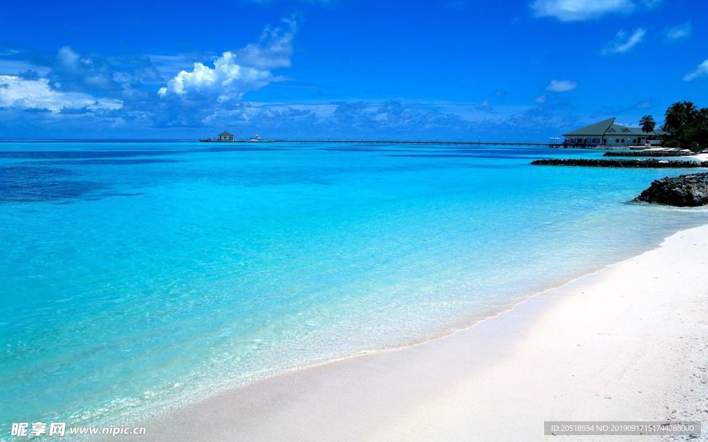 马尔代夫 壁纸 图片  结婚