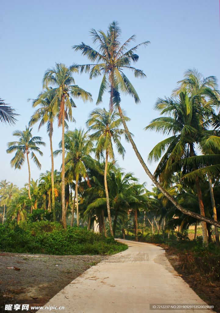椰乡村路