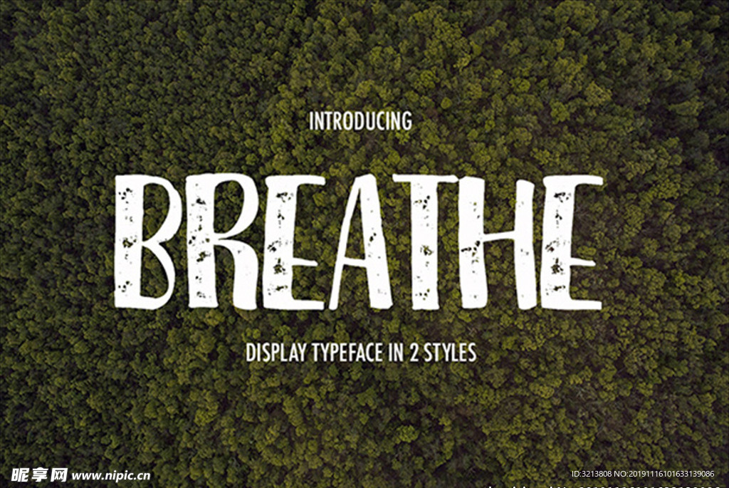 英文 字体 字母 设计