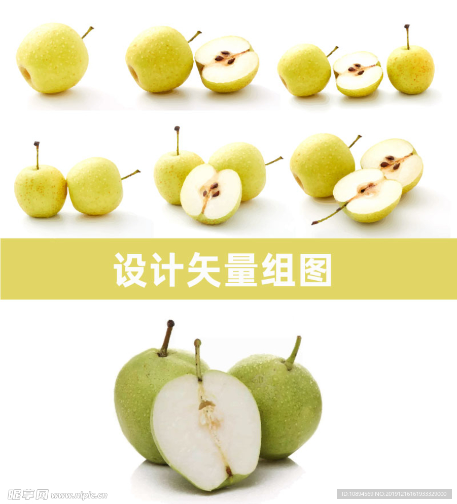 早酥梨矢量