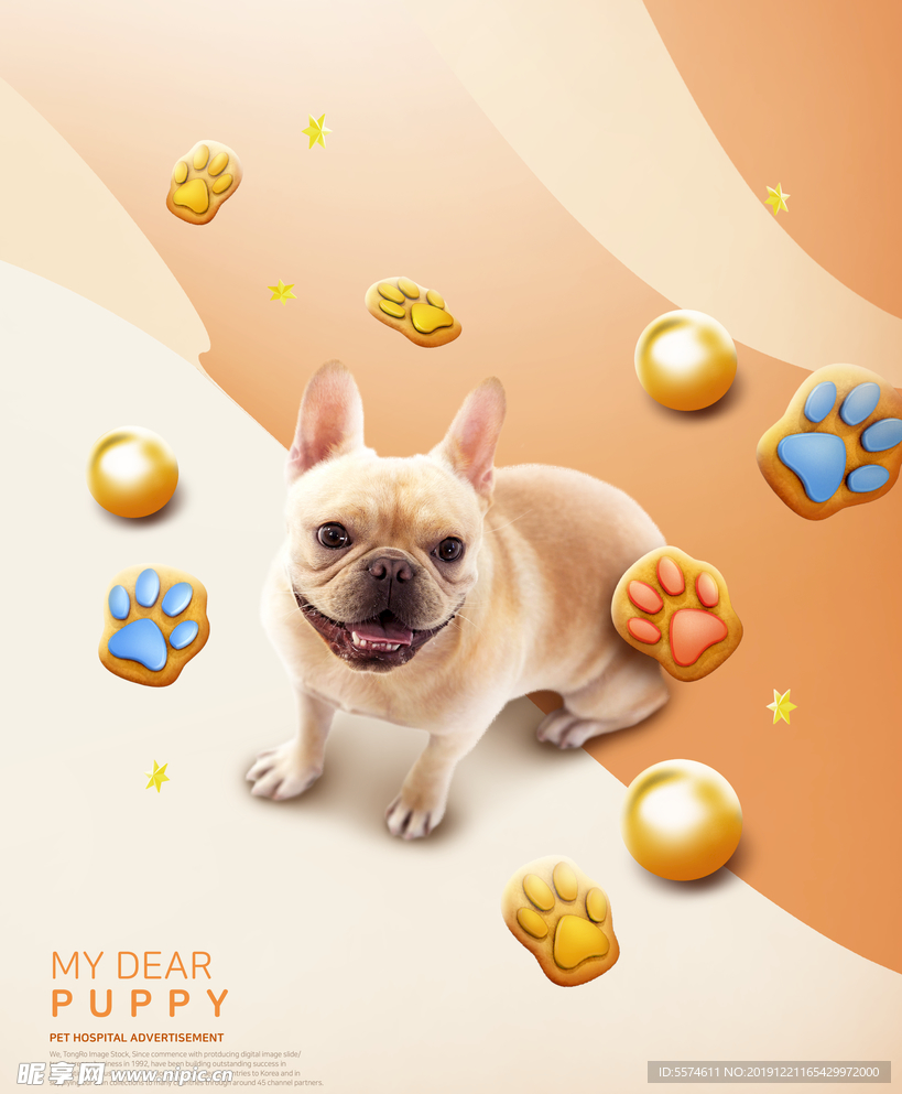 宠物狗海报