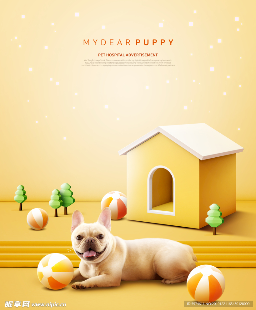 宠物狗海报