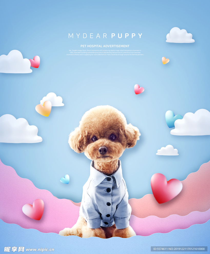 宠物狗海报