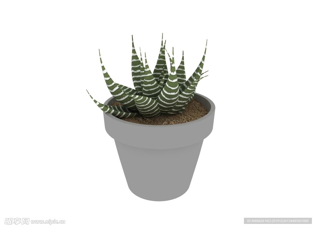 多肉植物3d模型