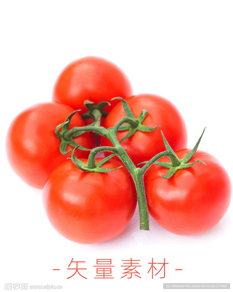 番茄 西红柿