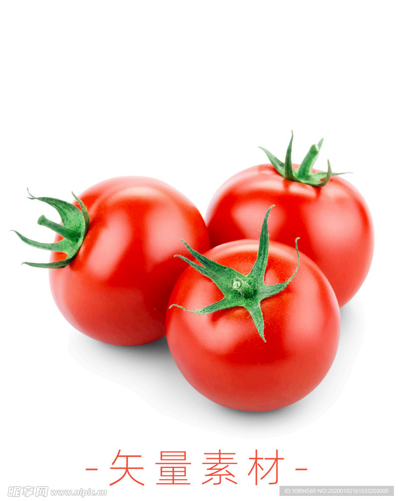 番茄 西红柿