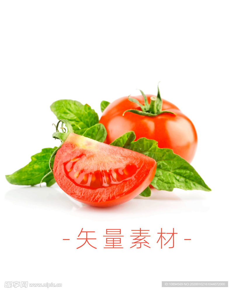 番茄 西红柿 蔬菜 矢量 高清