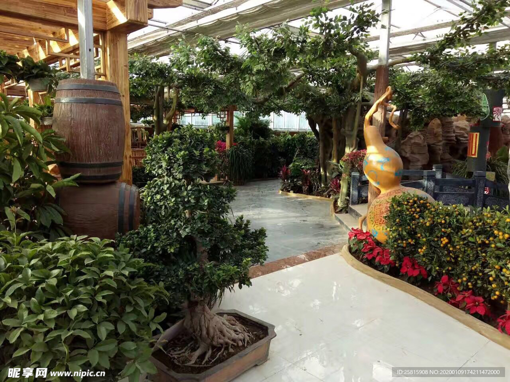 生态餐厅农家乐图片