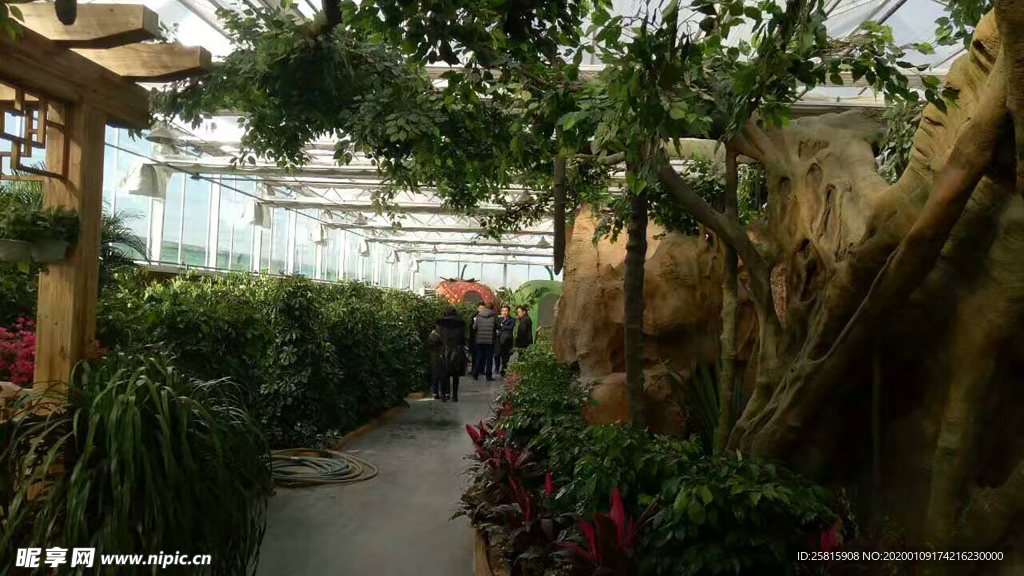 生态餐厅农家乐图片