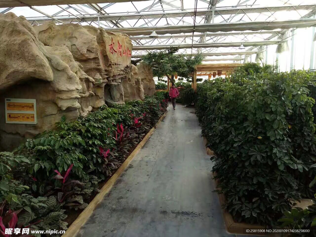 生态餐厅农家乐图片