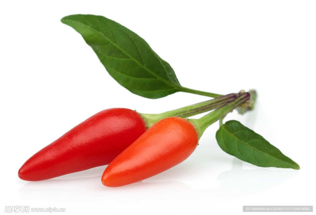 辣椒