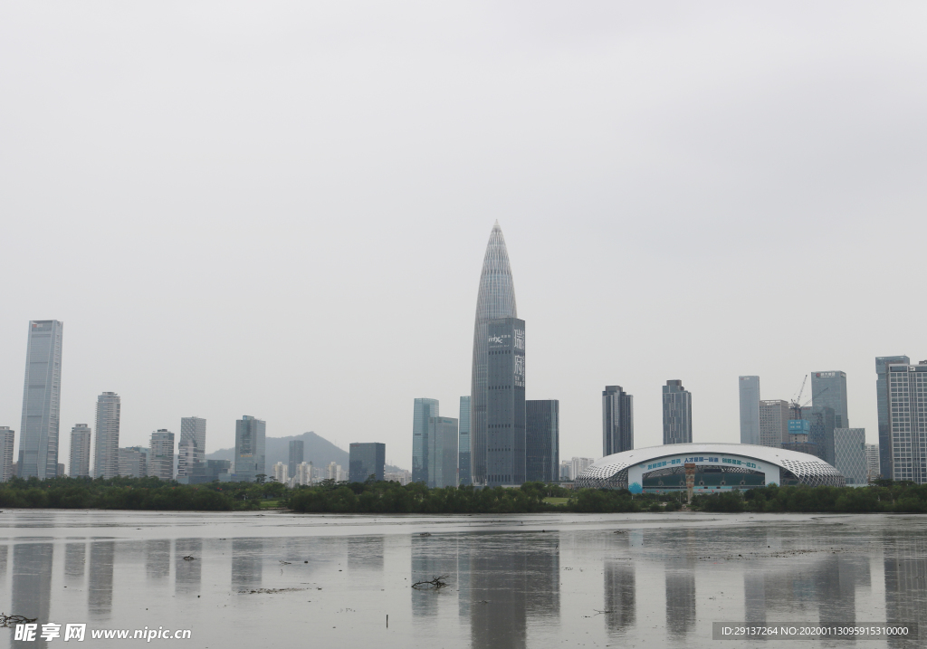 深圳湾