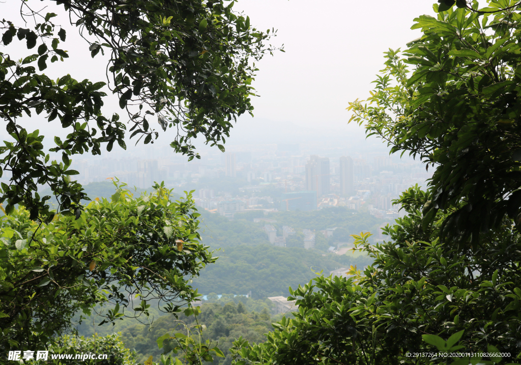 山上风景