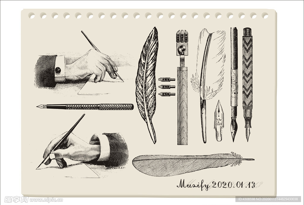 5款鹅毛笔手绘稿