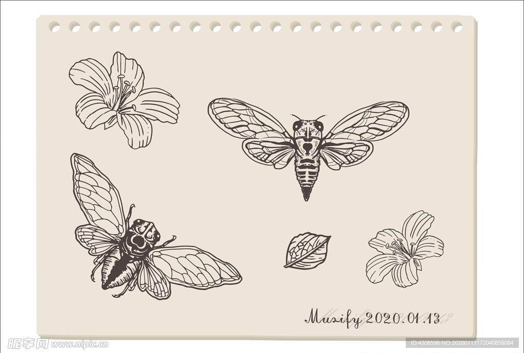 蜜蜂手绘稿