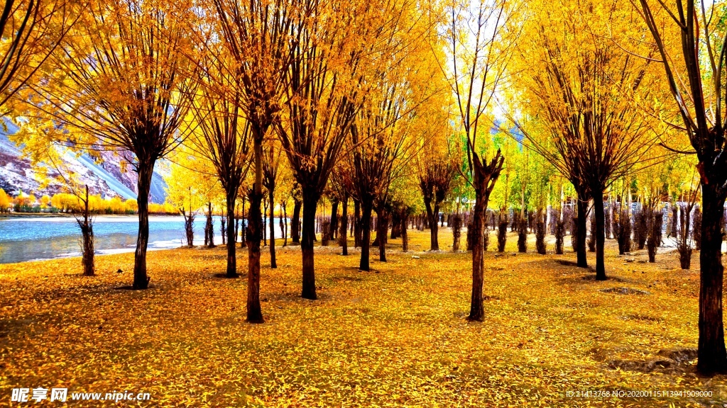 自然风景壁纸
