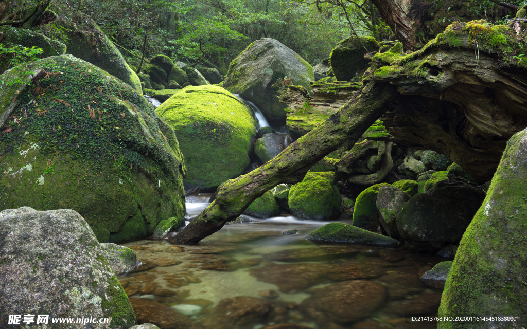 清新自然风景