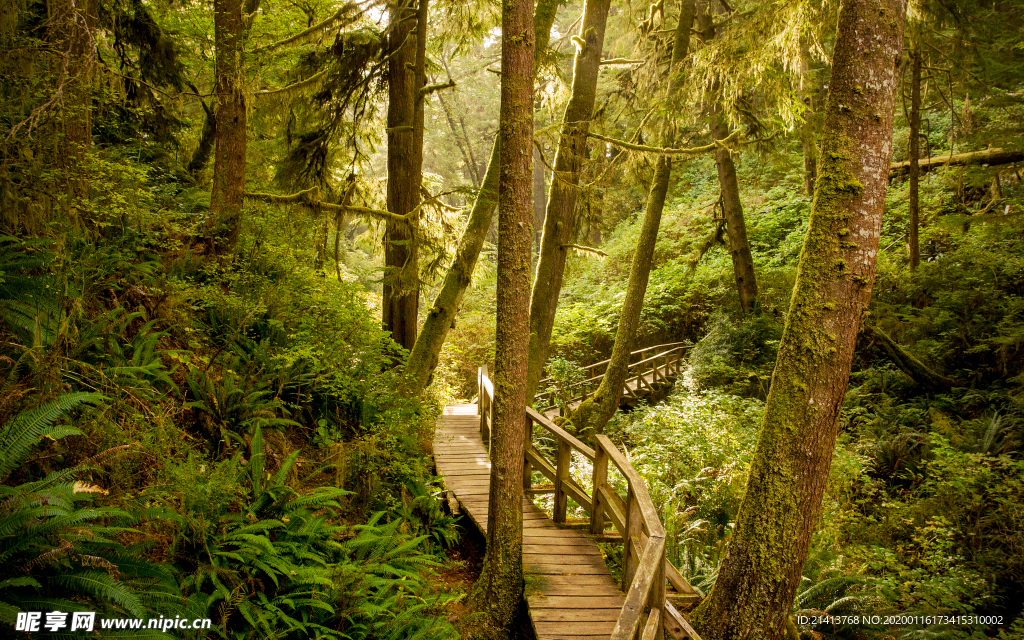 清新自然风景