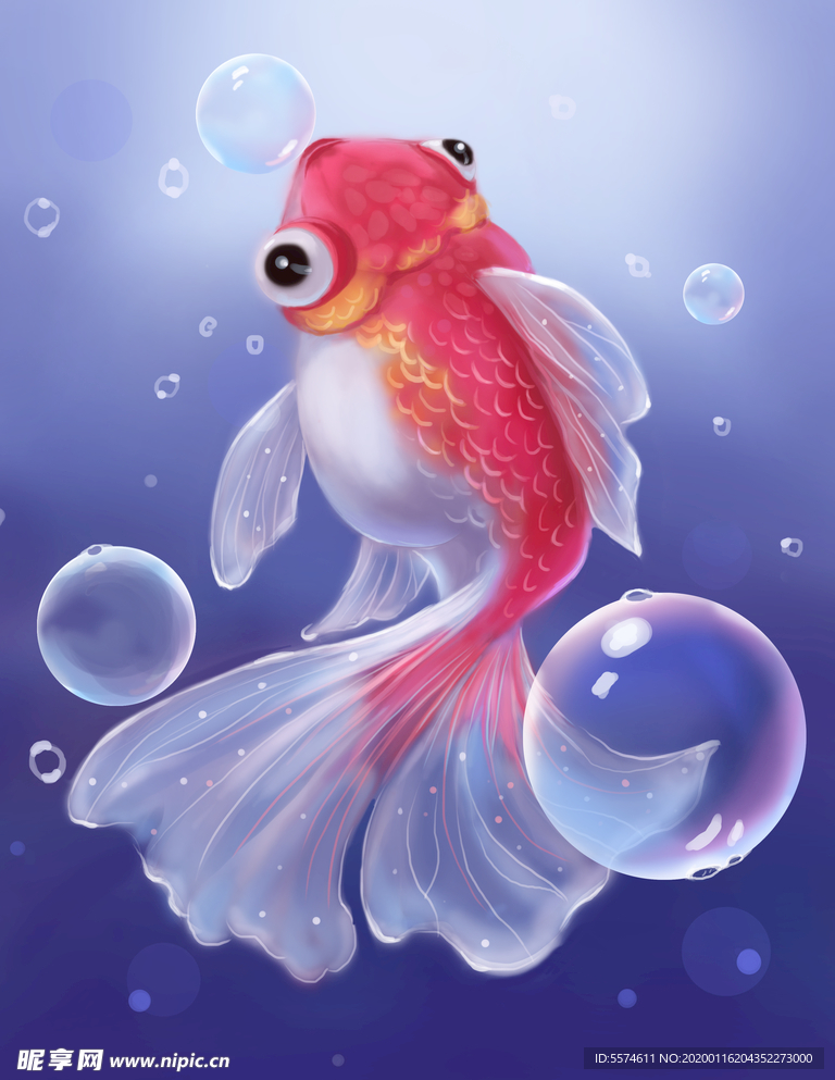 梦觉插画小金鱼