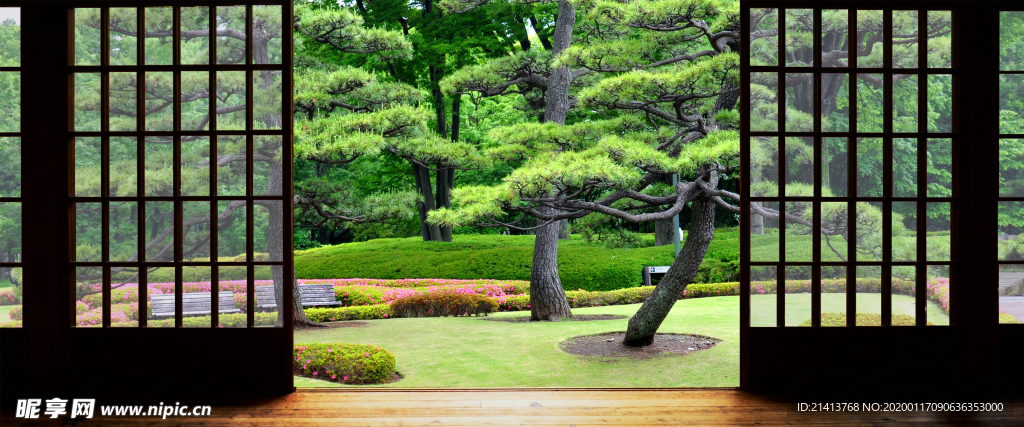 清新自然风景