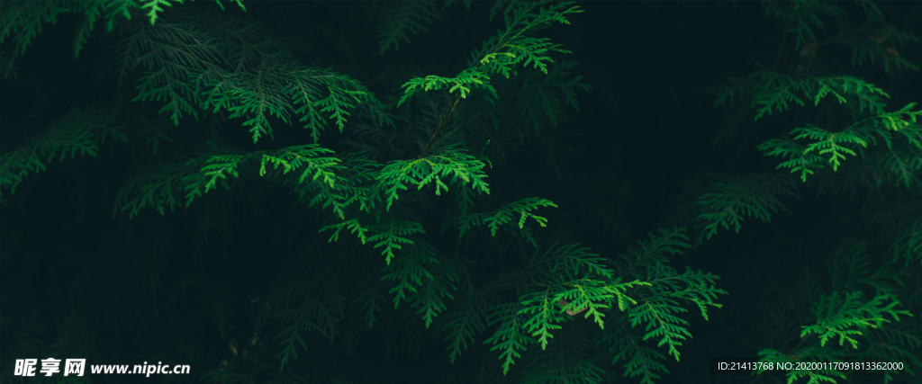 清新自然风景