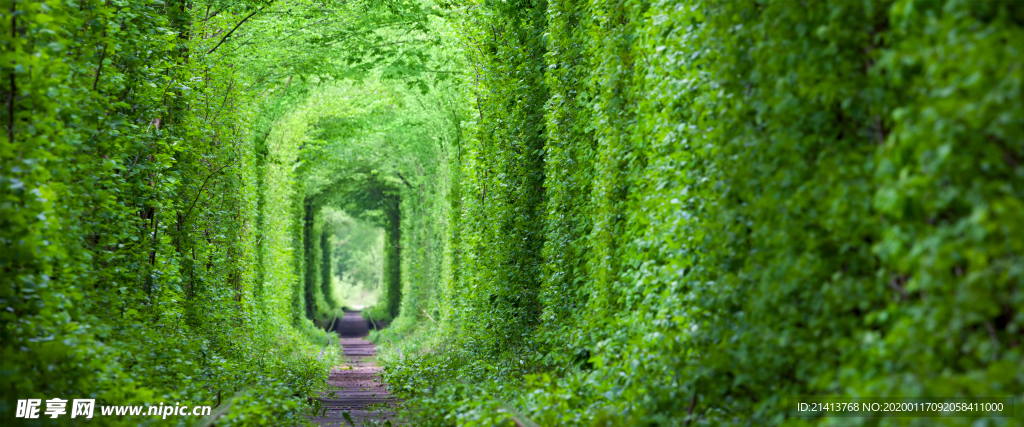 清新自然风景