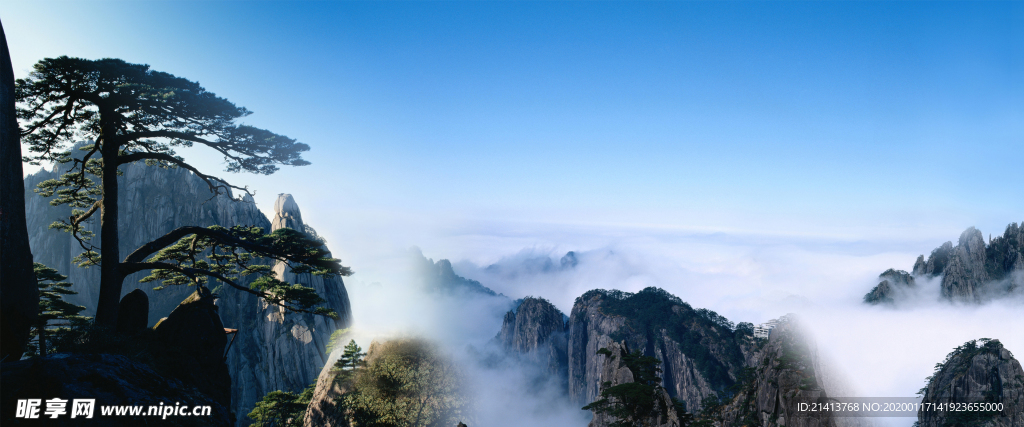 清新自然风景