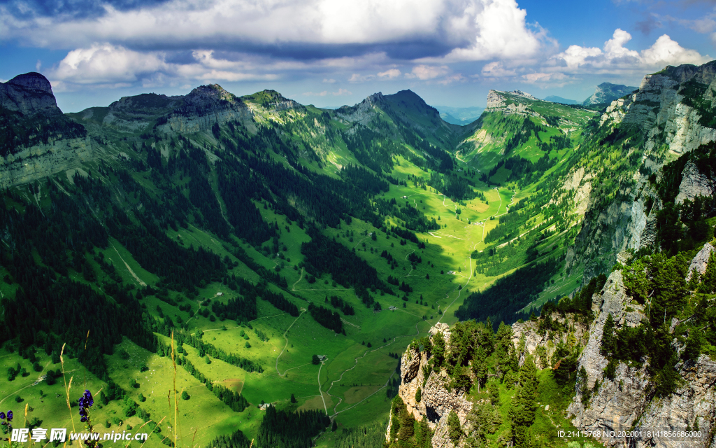 清新自然风景