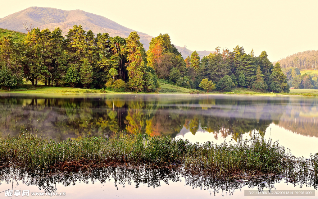 清新自然风景