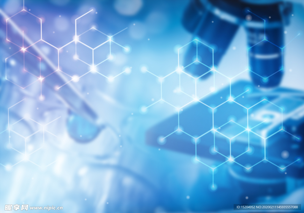 实验研究 显微镜观察