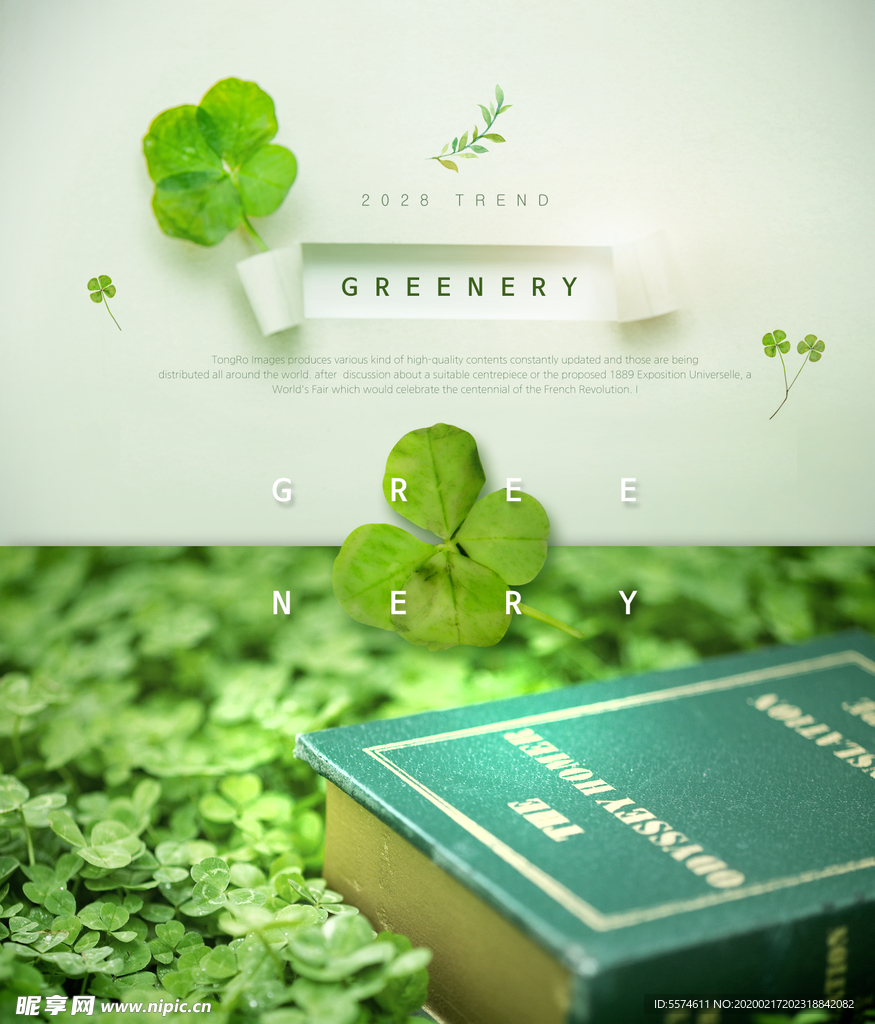 春夏绿色叶子海报