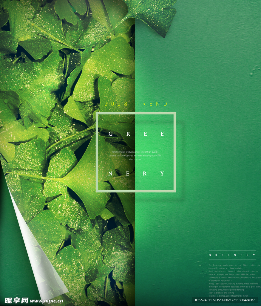 春夏绿色叶子海报