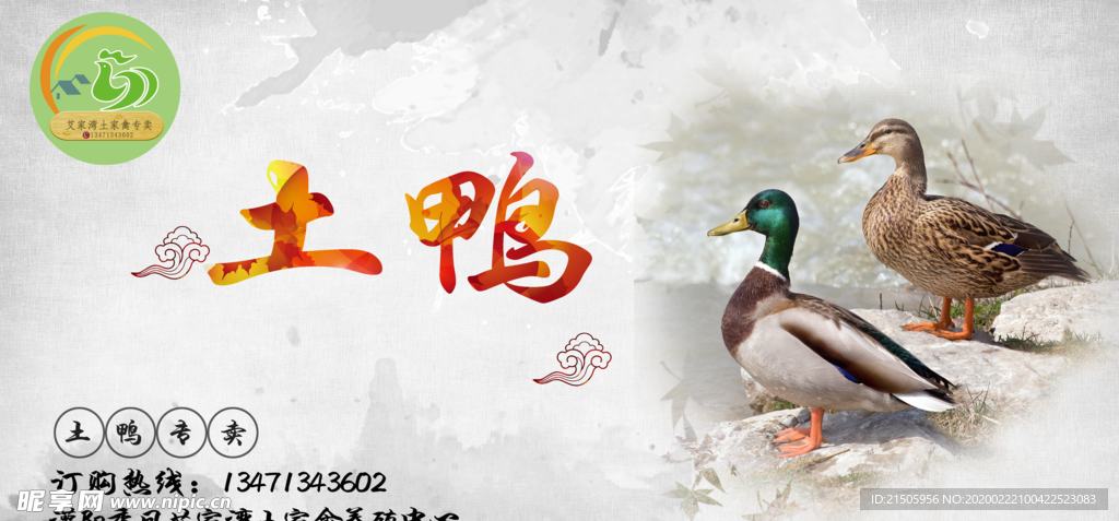 土鸭海报