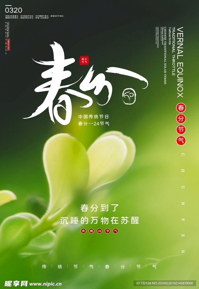 24节气 春分海报