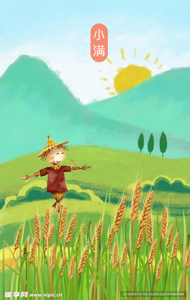 小满节气插画海报