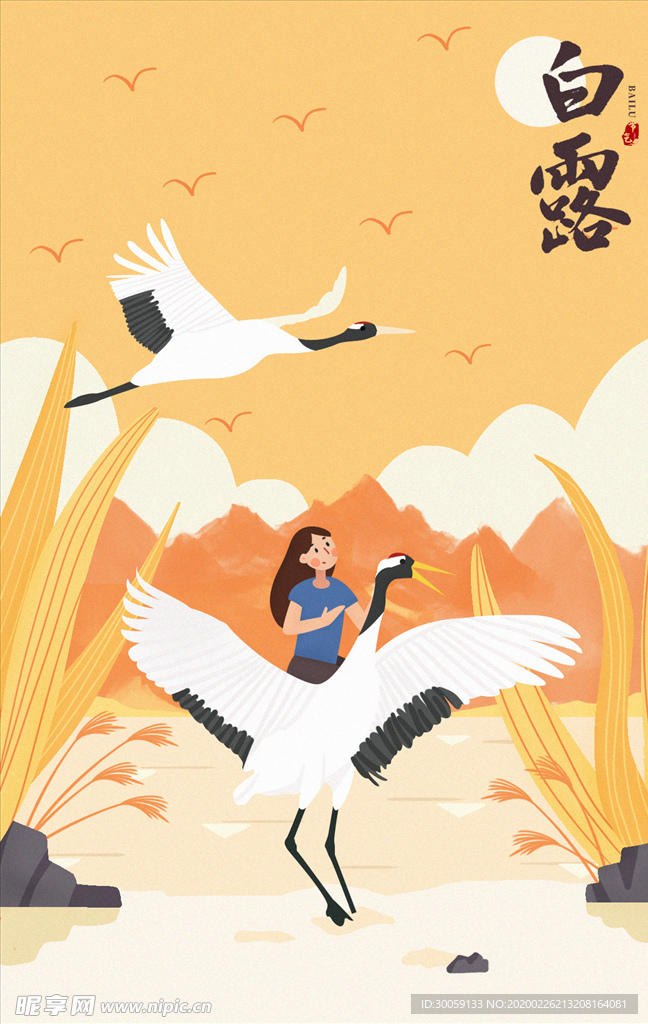 白露插画海报
