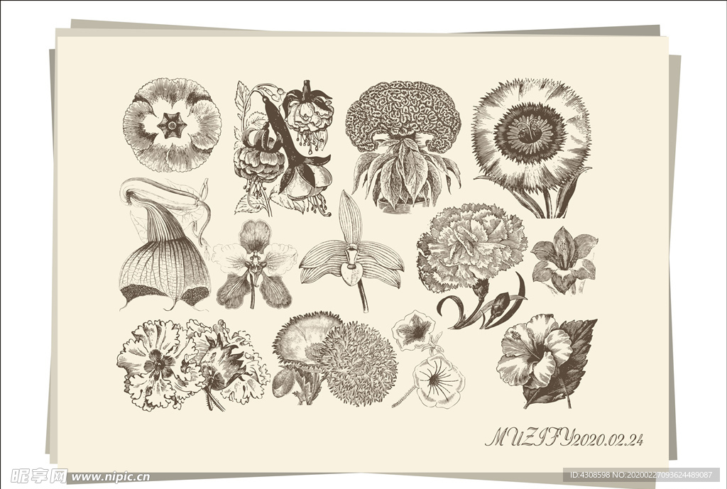 13款入花朵手绘稿