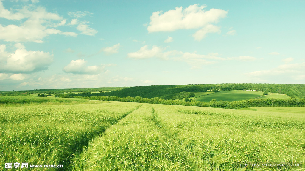 自然途观高清拍摄