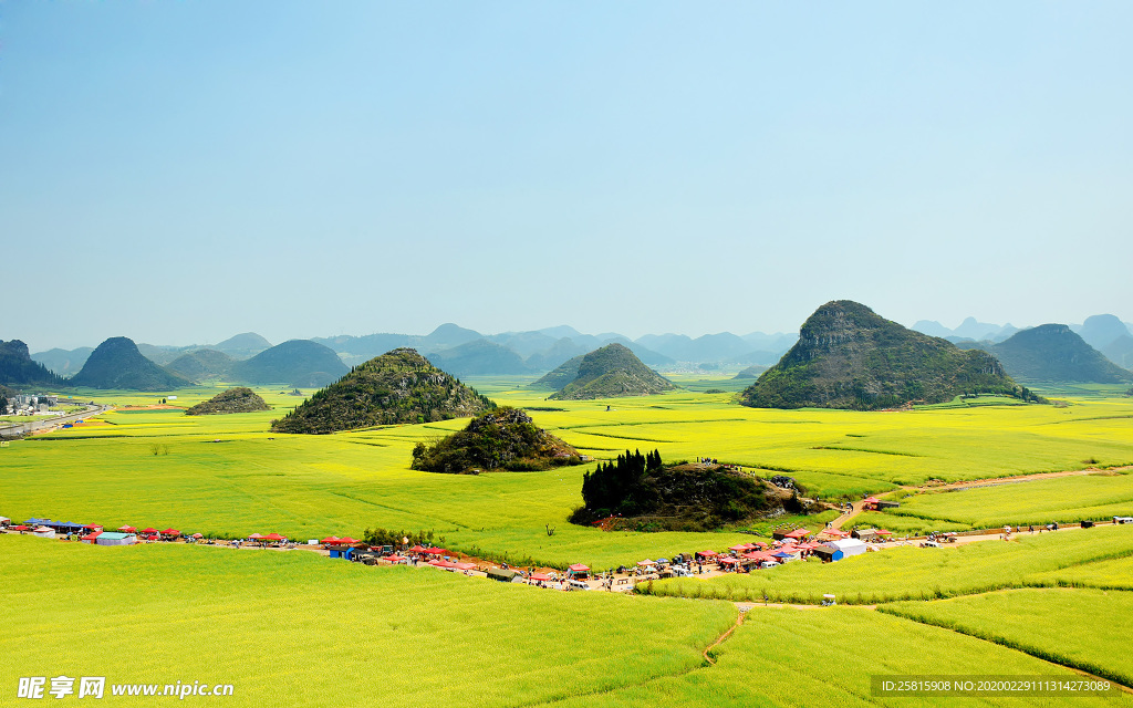 蓝天油菜花图片