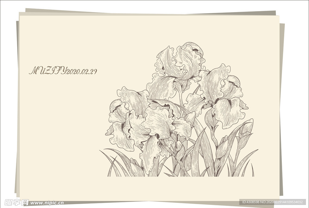 鸢尾花手绘稿