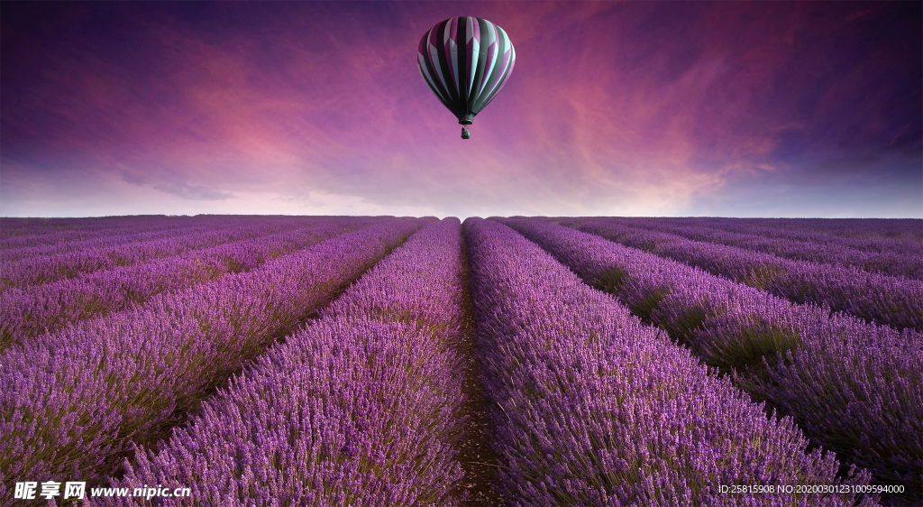 薰衣草田园图片