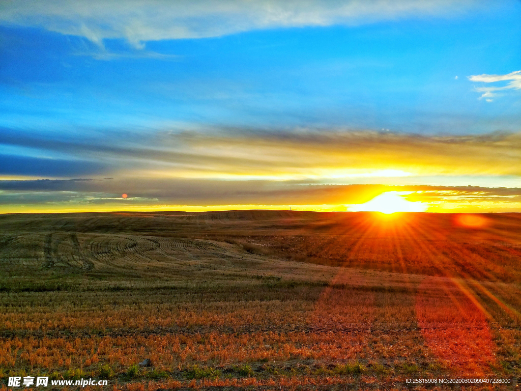 草原骏马高清图片